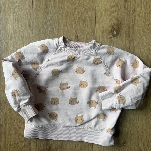 Hanna Andersson Other - Hanna AndersonChild's Pink Cat Print Sweatshirt